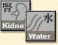 water - kidney
