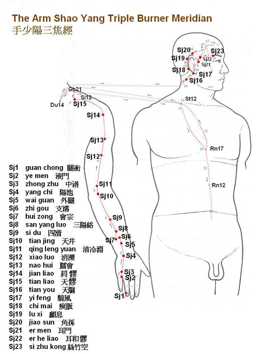 Arm Shao Yang Triple Burner Meridian