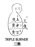 triple-burner