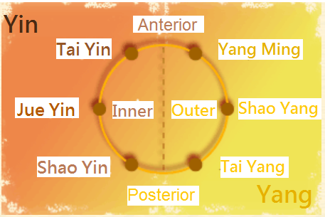 yin-yang-positions around the limbs 