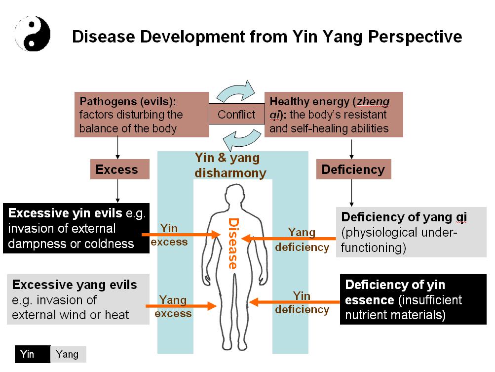 Disease development from a yin yang perspective 