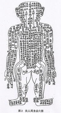 Body points illustration in zheng jiu da cheng