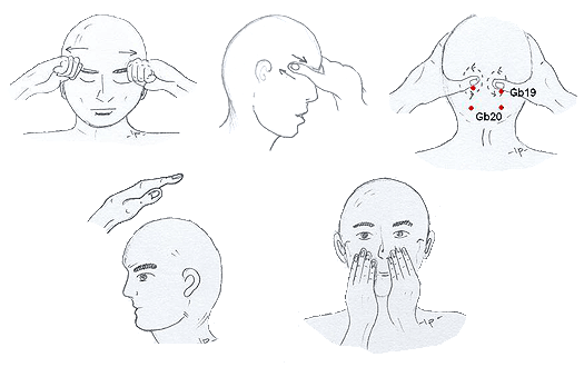 Massage to promote the facial and head region 