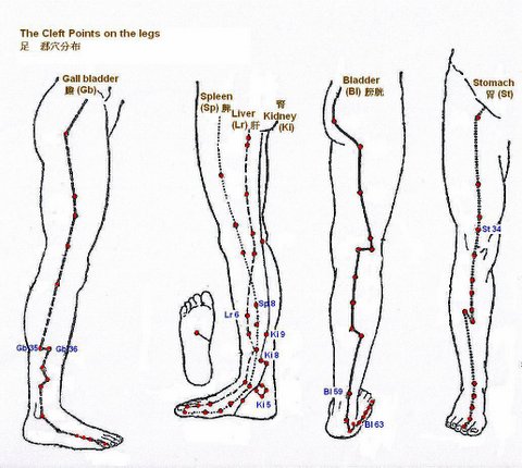 Cleft points on the legs