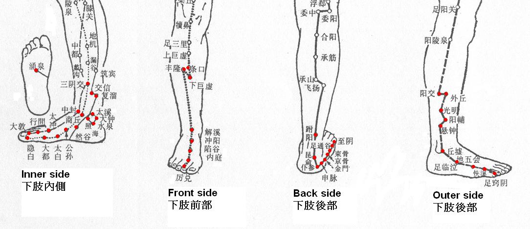Acupoints on the lower limbs and feet