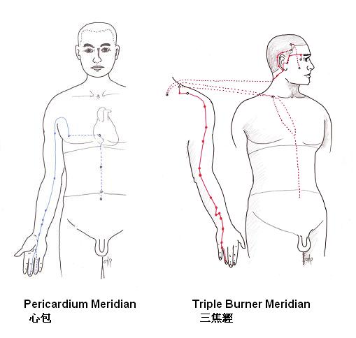 The pericardium meridian communicates with the triple burner meridian creating a special relationship.