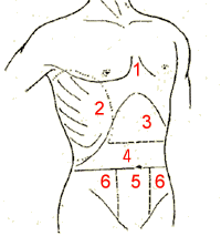 districts in the check and abdomen