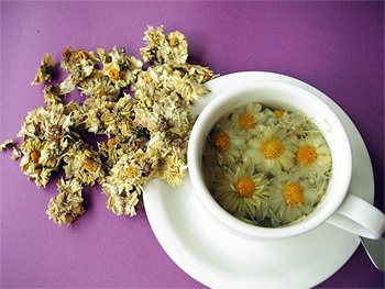 Chrysanthemum tea 
