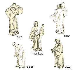 The Five-animal Play devised by Hua Tuo. Exercises are similar to the movements of the tiger, deer, bear, monkey and bird.