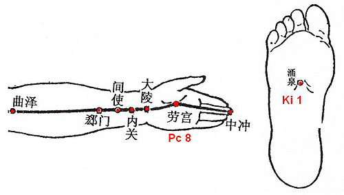 Important body points for TCM external herbal remedies. 