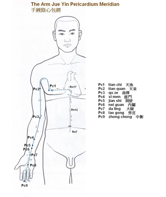 Arm Jue Yin Pericardium Meridian (PC)