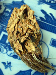 Largeleaf geatian root (qin jian) is commonly used for rheumatism in TCM.