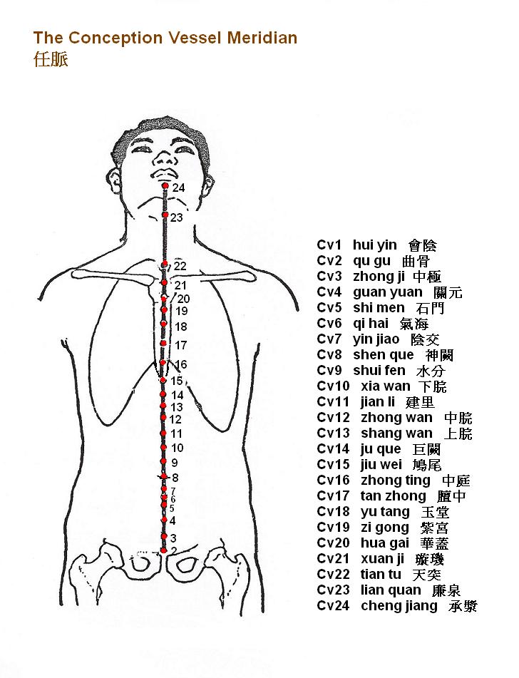 Eight Extra Meridians